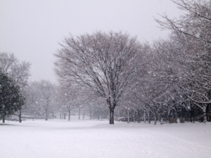 ぼたん雪.png