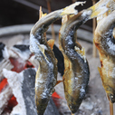 鮎釣り