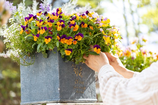 202304_gardening.jpg