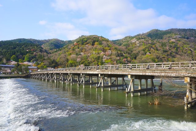 202304_togetsukyo.jpg