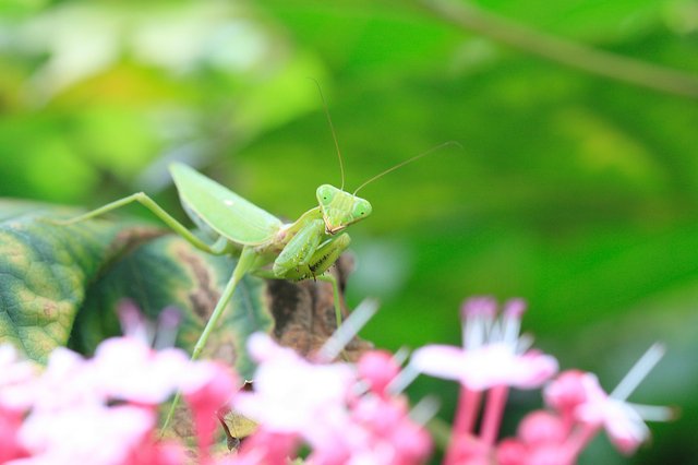 202506_pixta_1828367_S.jpg