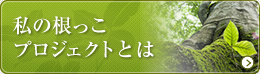 私の根っこプロジェクトとは