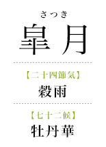 051皐月_牡丹華.png