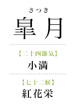 056皐月_紅花栄.png