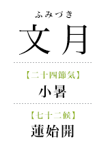 074文月_蓮始開.png
