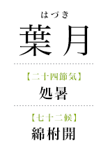 086葉月_綿柎開.png