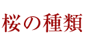 桜の種類