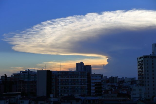 202507_pixta_69006429_S.jpg