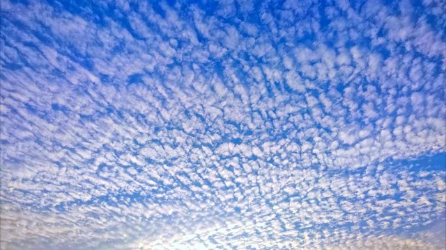 202609_pixta_140395108_S_urokokumo.jpg