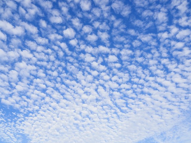 202609_pixta_36291647_S_hitsujikumo.jpg