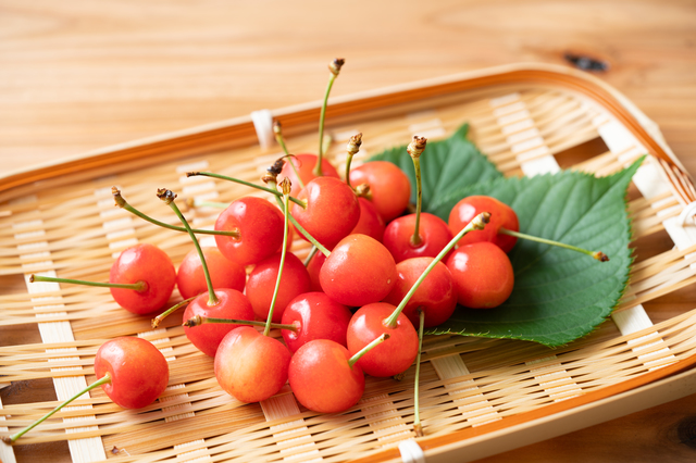 さくらんぼ｜旬の味覚と行事食｜暮らし歳時記